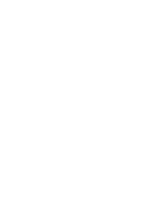Flags