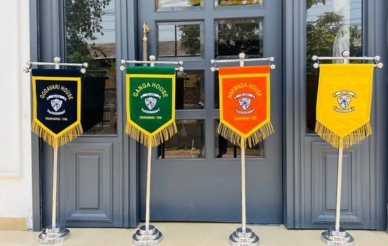 Marketing Flags