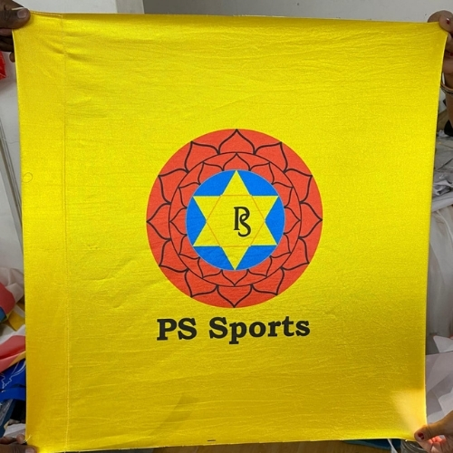 Sports Flags Alternate